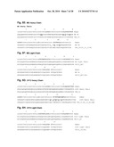 Antibodies Against Human NKG2D and Uses Thereof diagram and image