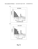 Antibodies Against Human NKG2D and Uses Thereof diagram and image