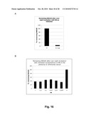 Antibodies Against Human NKG2D and Uses Thereof diagram and image