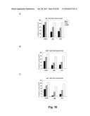 Antibodies Against Human NKG2D and Uses Thereof diagram and image