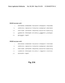 Antibodies Against Human NKG2D and Uses Thereof diagram and image