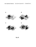 Antibodies Against Human NKG2D and Uses Thereof diagram and image