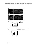 AMETHOD OF TREATING NEURODEGENERATIVE DISEASES diagram and image