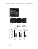 AMETHOD OF TREATING NEURODEGENERATIVE DISEASES diagram and image