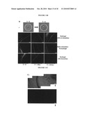 HYDROGELS FOR COMBINATORIAL DELIVERY OF IMMUNE-MODULATING BIOMOLECULES diagram and image