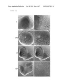 RGD-MODIFIED ALGINATE MICROPARTICLES AS A DRUG RELEASE SYSTEM diagram and image