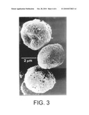 PULMONARY DELIVERY PARTICLES COMPRISING WATER INSOLUBLE OR CRYSTALLINE ACTIVE AGENTS diagram and image