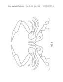 PASTEURIZED SWIMMING CRAB BACK FIN diagram and image