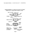 EXTENSIBLE TRANSFER FILM FOR SURFACE COATING, PROCESS FOR PRODUCING IT, AND PROCESS FOR APPLYING IT diagram and image