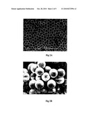  METHOD FOR SYNTHESISING MICROPARTICLES diagram and image