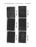 Silicide-coated metal surfaces and methods of utilizing same diagram and image