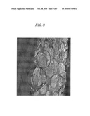 NEGATIVE ACTIVE MATERIAL FOR LITHIUM SECONDARY BATTERY AND NEGATIVE ELECTRODE AND LITHIUM SECONDARY BATTERY COMPRISING SAME diagram and image