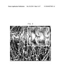 COMPOSITE ELECTRODE AND METHOD FOR MANUFACTURING THE SAME diagram and image