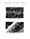 COMPOSITE ELECTRODE AND METHOD FOR MANUFACTURING THE SAME diagram and image