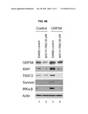 NOVEL USE OF GRP 94 IN VIRUS INFECTION diagram and image