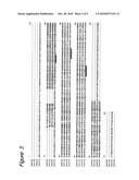 NOVEL GLYCOSYLTRANSFERASES AND POLYNUCLEOTIDES ENCODING THE SAME diagram and image