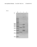 Nested Multiplex Amplification Method for Identification of Multiple Biological Entities diagram and image