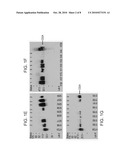 METHODS OF DIAGNOSING CANCER diagram and image