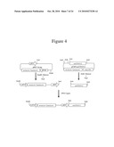 Cellular Permissivity Factor for Viruses and Uses Thereof diagram and image