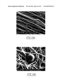 Interactive Microenvironment System diagram and image