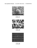 Interactive Microenvironment System diagram and image