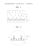 TARGET BIOMATERIAL DETECTING KIT AND METHOD OF DETECTING TARGET BIOMATERIAL diagram and image