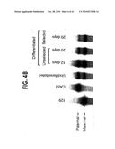 Methods for Assaying Gene Imprinting and Methylated CpG Islands diagram and image