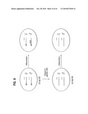 Methods for Assaying Gene Imprinting and Methylated CpG Islands diagram and image