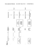 Methods for Assaying Gene Imprinting and Methylated CpG Islands diagram and image