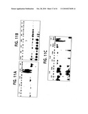 Methods for Assaying Gene Imprinting and Methylated CpG Islands diagram and image