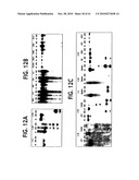 Methods for Assaying Gene Imprinting and Methylated CpG Islands diagram and image