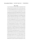 Methods for Assaying Gene Imprinting and Methylated CpG Islands diagram and image