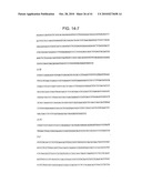 Methods for Assaying Gene Imprinting and Methylated CpG Islands diagram and image