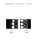 Cell culture well-plates having inverted colloidal crystal scaffolds diagram and image