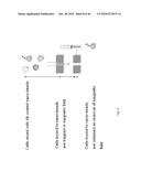 Methods for detecting fetal abnormality diagram and image