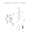 METHODS FOR THE PREPARATION OF DNA MICROARRAYS WITH LINEAR HIGH DENSITY PROBES diagram and image