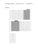 CHIMERICAL PEPTIDIC MOLECULES WITH ANTIVIRAL PROPERTIES AGAINST THE VIRUSES OF THE FLAVIVIRIDAE FAMILY diagram and image