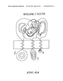 PEPTIDES OF IL-2 diagram and image