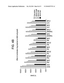 COMBINATION METHODS OF TREATING CANCER diagram and image