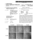 METHOD OF COVALENTLY MODIFYING PROTEINS WITH ORGANIC MOLECULES TO PREVENT AGGREGATION diagram and image