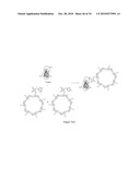 METHOD OF COVALENTLY MODIFYING PROTEINS WITH ORGANIC MOLECULES TO PREVENT AGGREGATION diagram and image