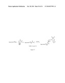 METHOD OF COVALENTLY MODIFYING PROTEINS WITH ORGANIC MOLECULES TO PREVENT AGGREGATION diagram and image