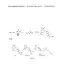 METHOD OF COVALENTLY MODIFYING PROTEINS WITH ORGANIC MOLECULES TO PREVENT AGGREGATION diagram and image