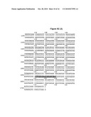 METHOD FOR THE PRODUCTION OF AN IMMUNOSTIMULATING MUCIN (MUC1) diagram and image