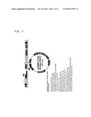 Ribozyme to cleave coronavirus gene diagram and image