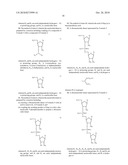 Preparation of Nucleotide Oligomer diagram and image