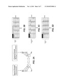 Quantitative Calibration Method and System for Genetic Analysis Instrumentation diagram and image