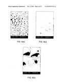 Ultraviolet Light Emitting AlGaN Composition And Ultraviolet Light Emitting Device Containing Same diagram and image