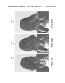 COMPUTER GRAPHIC SYSTEM AND METHOD FOR SIMULATING HAIR diagram and image