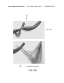 COMPUTER GRAPHIC SYSTEM AND METHOD FOR SIMULATING HAIR diagram and image